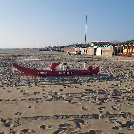 Versilia Apartment Forte dei Marmi Eksteriør bilde