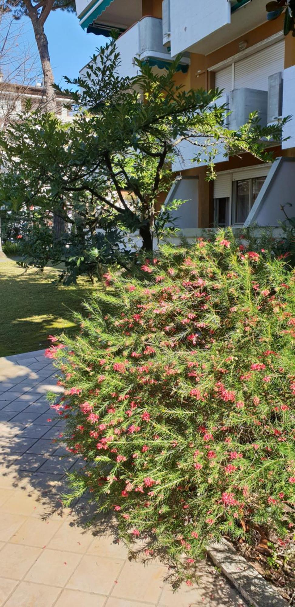 Versilia Apartment Forte dei Marmi Eksteriør bilde